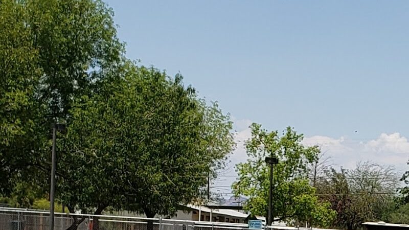 Clark Park Dog Park - Tempe, AZ