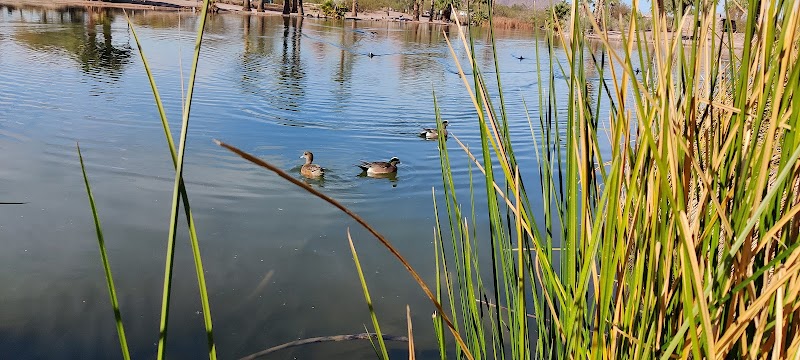 Papago Bark Park - Tempe, AZ