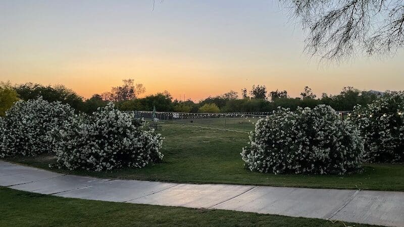 The Barking Bodega - Tempe, AZ