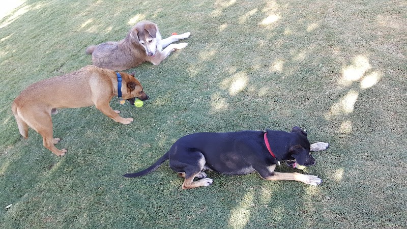 Mitchell Dog Park - Tempe, AZ