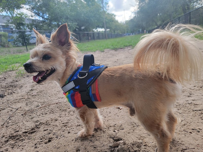 Temple Terrace Dog park - Temple Terrace, FL