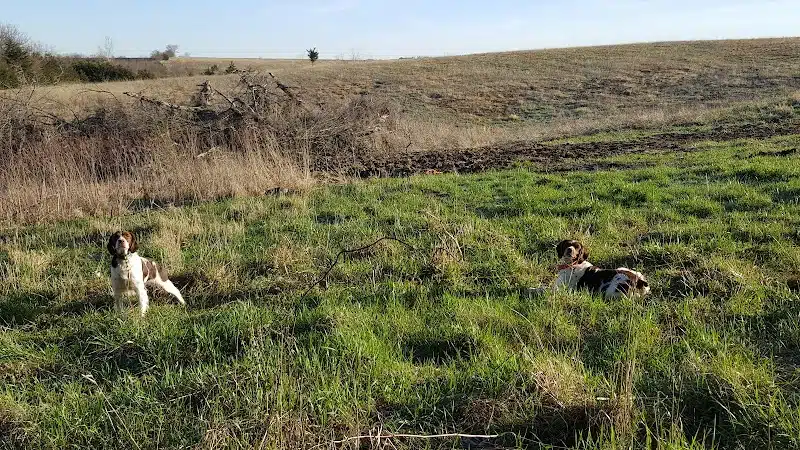 Union County Bird Dog Ranch - Thayer, IA