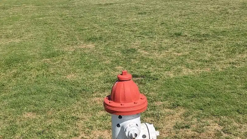 Pawsome Playground Dog Park - The Colony, TX