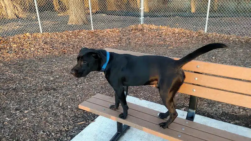 Pawsome Playground Dog Park - The Colony, TX