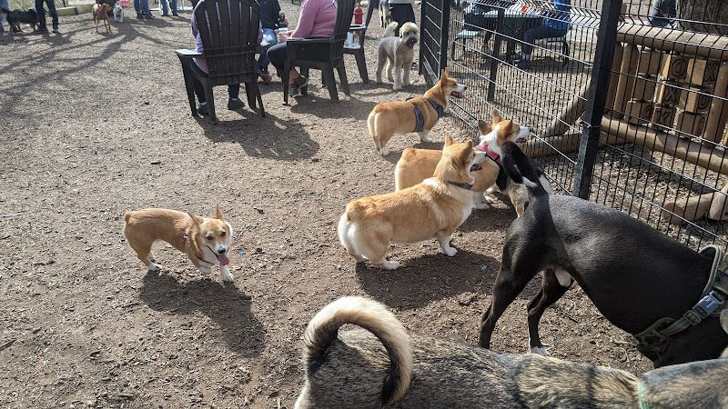 The Shacks Dining & Dog Park - The Colony, TX
