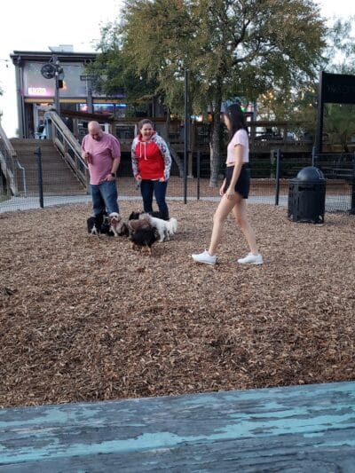 The Shacks Dining & Dog Park - The Colony, TX