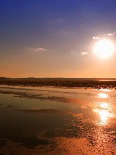 Thomson Causeway Recreation Area - Thomson, IL