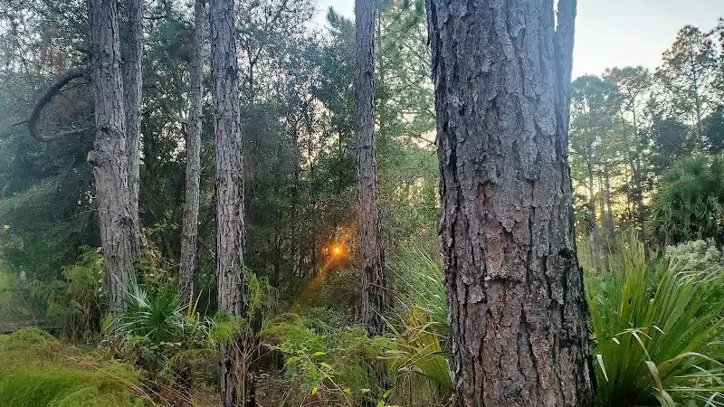 Flatwoods Park - Thonotosassa, FL