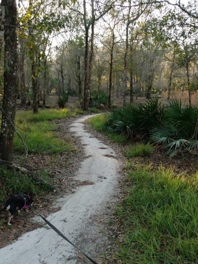 Flatwoods Park - Thonotosassa, FL