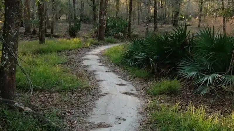Flatwoods Park - Thonotosassa, FL