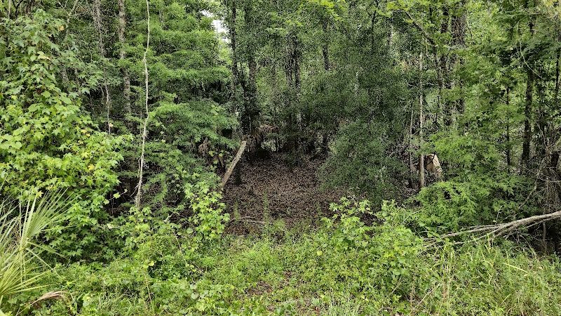 Flatwoods Park - Thonotosassa, FL