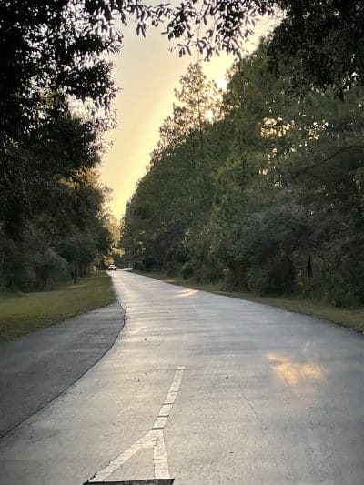 Flatwoods Park - Thonotosassa, FL