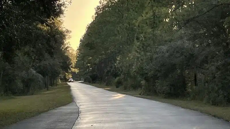 Flatwoods Park - Thonotosassa, FL