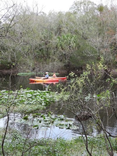 Flatwoods Park - Thonotosassa, FL