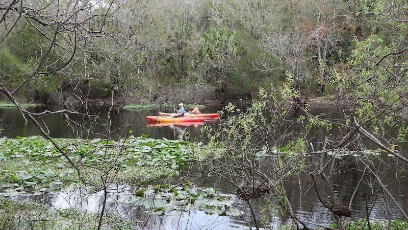 Flatwoods Park - Thonotosassa, FL