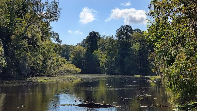 John B Sargeant Sr Park - Thonotosassa, FL