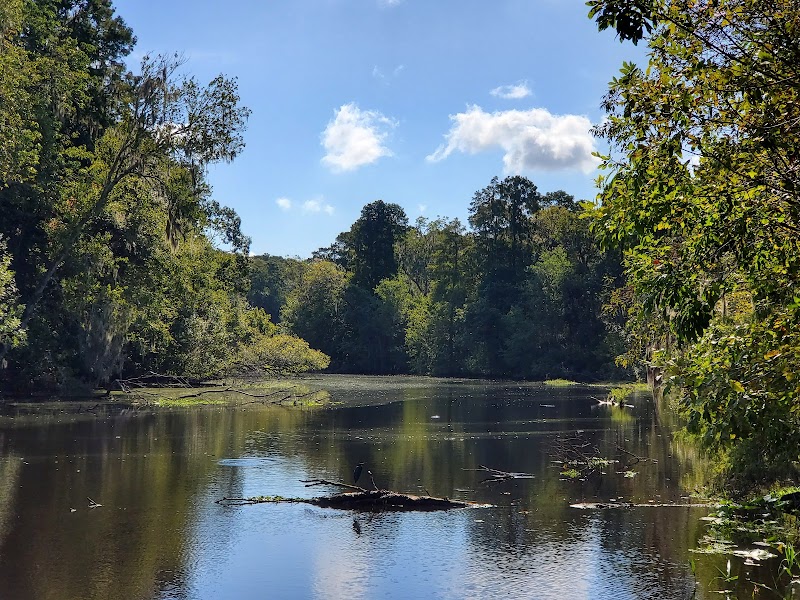John B Sargeant Sr Park - Thonotosassa, FL