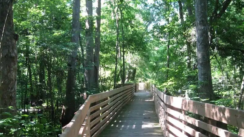 John B Sargeant Sr Park - Thonotosassa, FL