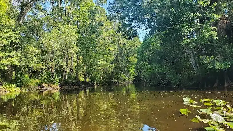 John B Sargeant Sr Park - Thonotosassa, FL
