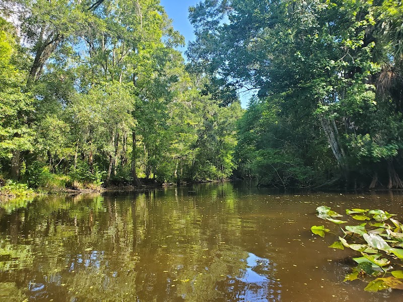 John B Sargeant Sr Park - Thonotosassa, FL