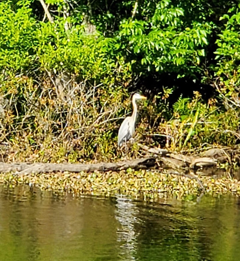 John B Sargeant Sr Park - Thonotosassa, FL
