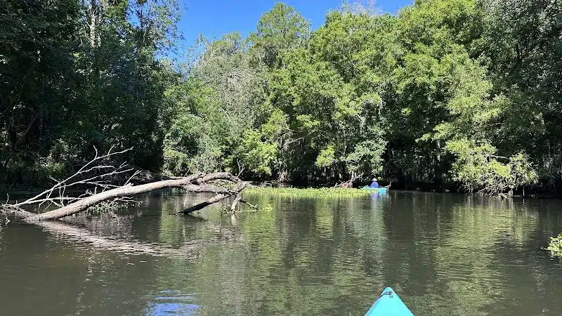 John B Sargeant Sr Park - Thonotosassa, FL
