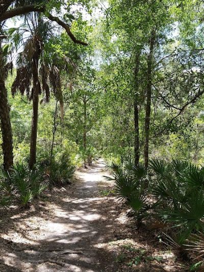 Lower Hillsborough Wildlife Management Area - Thonotosassa, FL