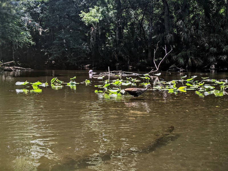 Lower Hillsborough Wildlife Management Area - Thonotosassa, FL