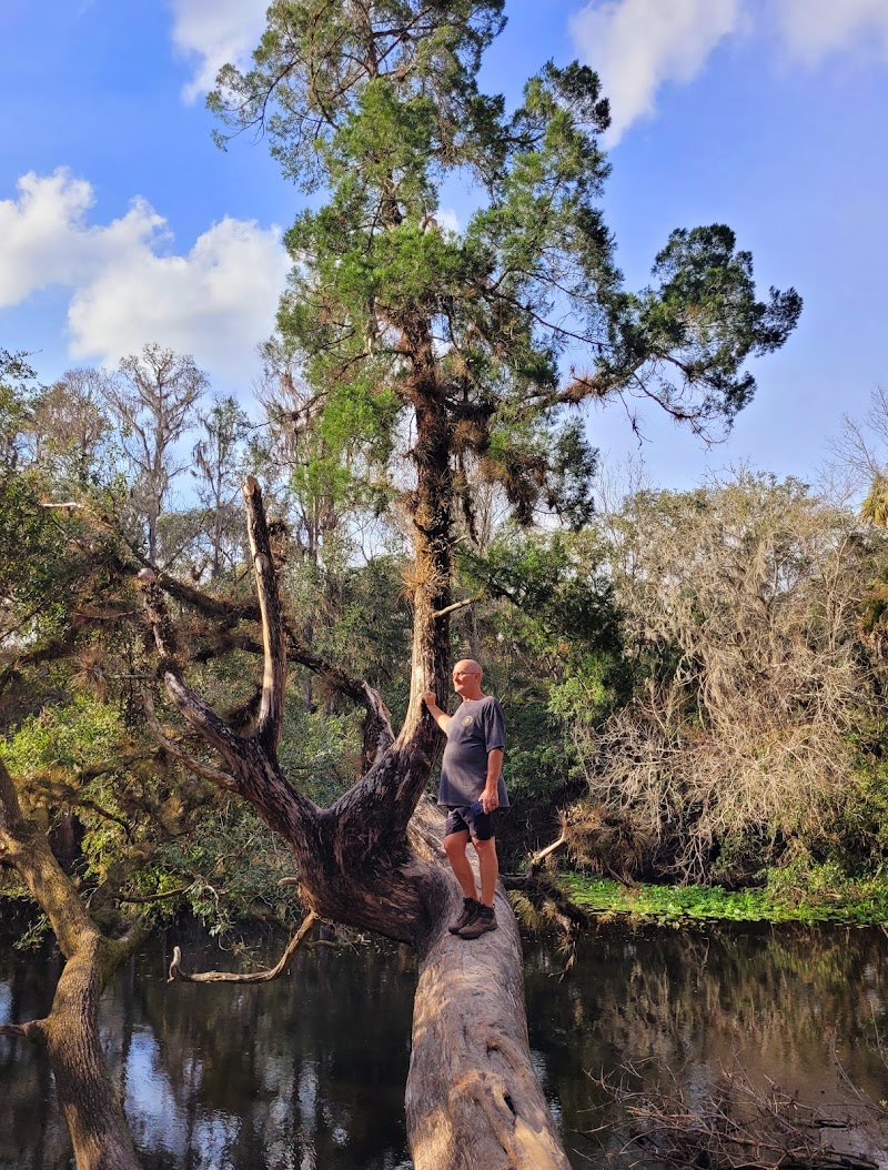 Lower Hillsborough Wildlife Management Area - Thonotosassa, FL