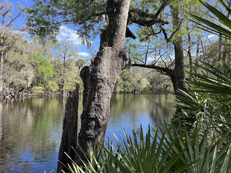 Wilderness Conservation Park - Trout Creek Site - Thonotosassa, FL