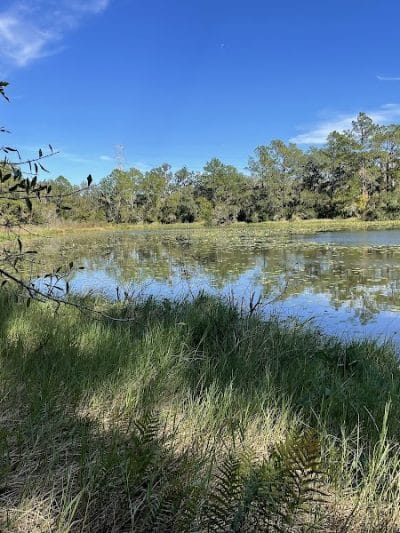 Wilderness Conservation Park - Trout Creek Site - Thonotosassa, FL