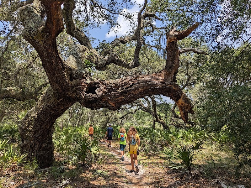 Wilderness Conservation Park - Trout Creek Site - Thonotosassa, FL
