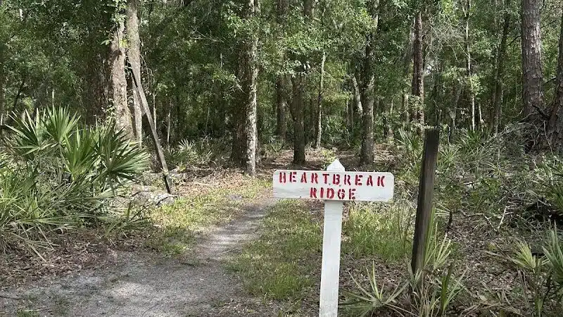 Wilderness park - Thonotosassa, FL