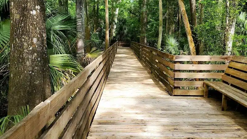Wilderness park - Thonotosassa, FL