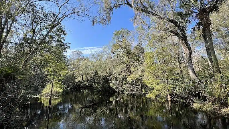 Wilderness park - Thonotosassa, FL