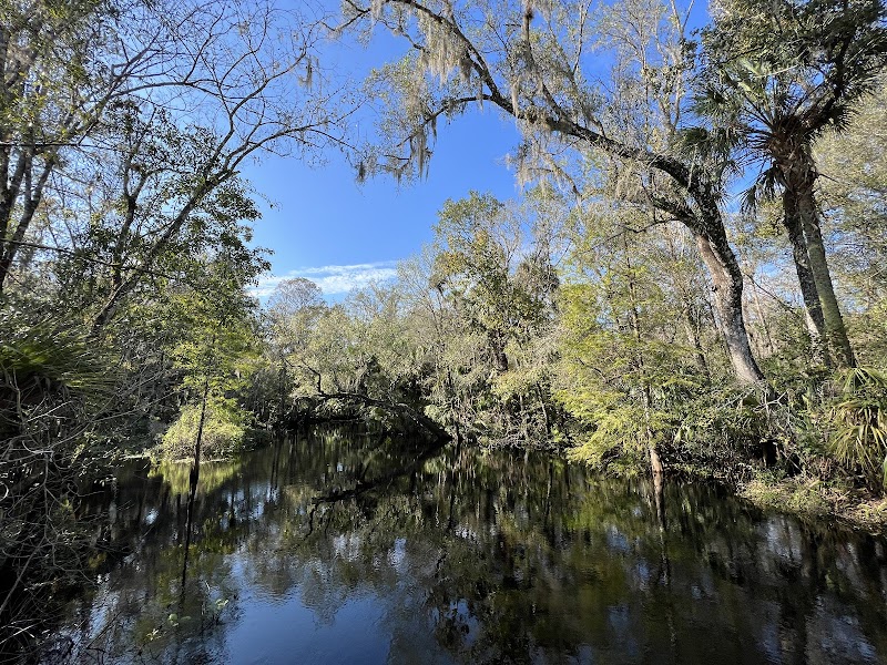 Wilderness park - Thonotosassa, FL