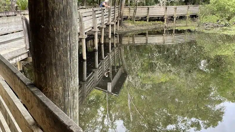Wilderness park - Thonotosassa, FL