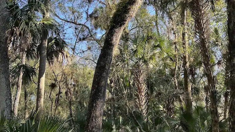 Wilderness park - Thonotosassa, FL