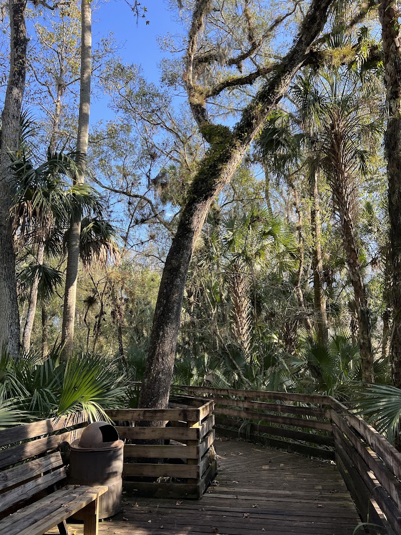 Wilderness park - Thonotosassa, FL