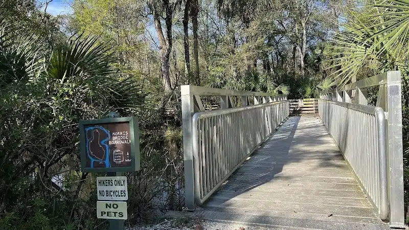 Wilderness park - Thonotosassa, FL