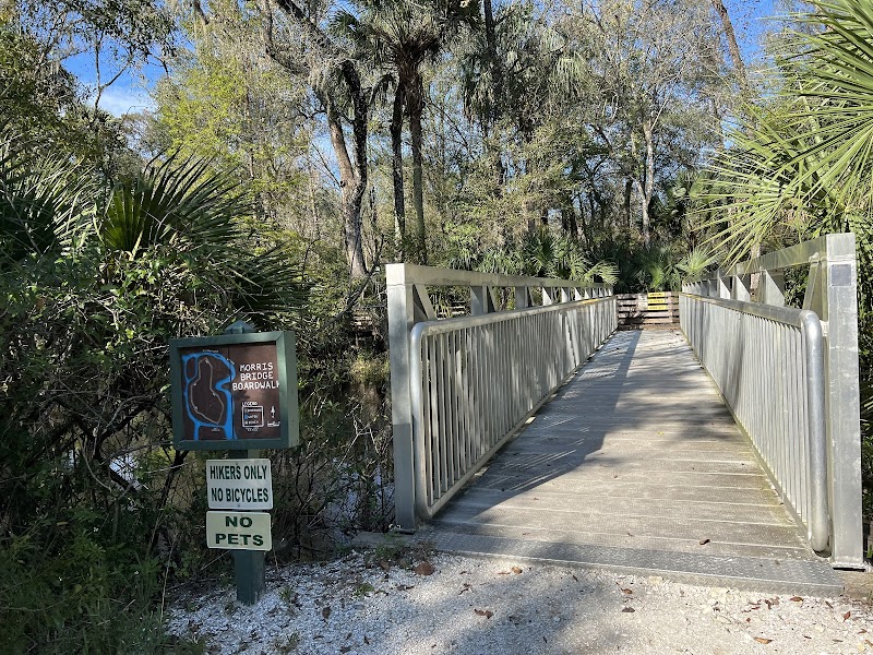 Wilderness park - Thonotosassa, FL