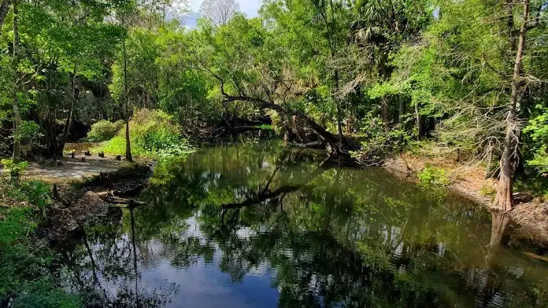 Wilderness park - Thonotosassa, FL