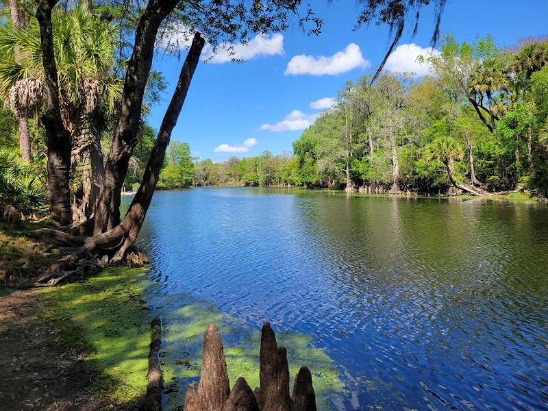 Wilderness Park Trout Creek Site - Thonotosassa, FL