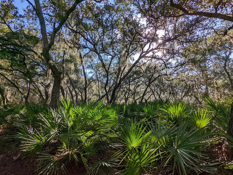 Wilderness Park Trout Creek Site - Thonotosassa, FL