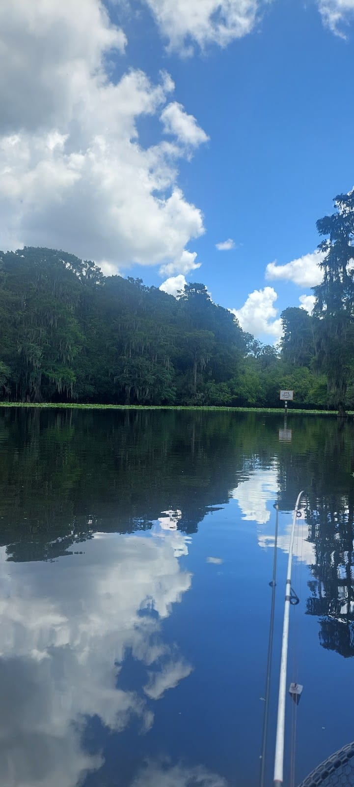 Wilderness Park Trout Creek Site - Thonotosassa, FL