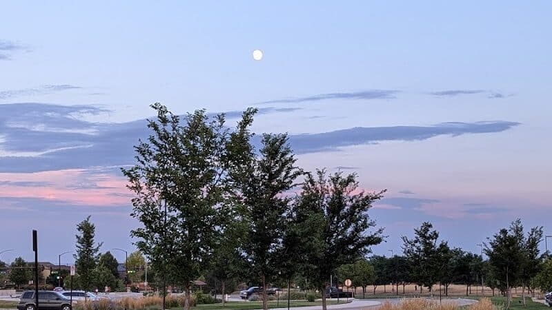 Trail Winds Park - Thornton, CO