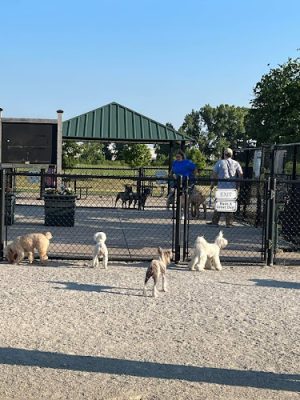 Tinley Park Park District Canine Campus (membership required)