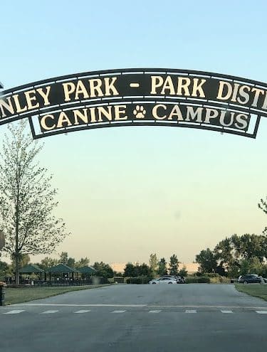 Tinley Park Park District Canine Campus (membership required)