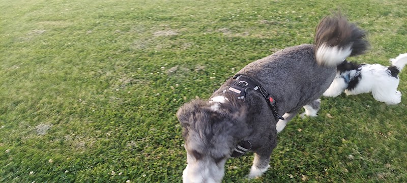 Tinley Park Park District Canine Campus (membership required) - Tinley Park, IL