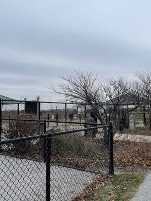 Tinley Park Park District Canine Campus (membership required)